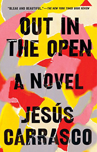 Jesús Carrasco, translated from the Spanish by Margaret Jull Costa, Out in the Open: A Novel (New York: Riverhead Books, 2017), 226pp.