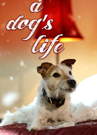 A Dog's Life (2013)